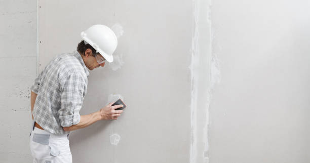 Best Emergency Mold Remediation  in USA